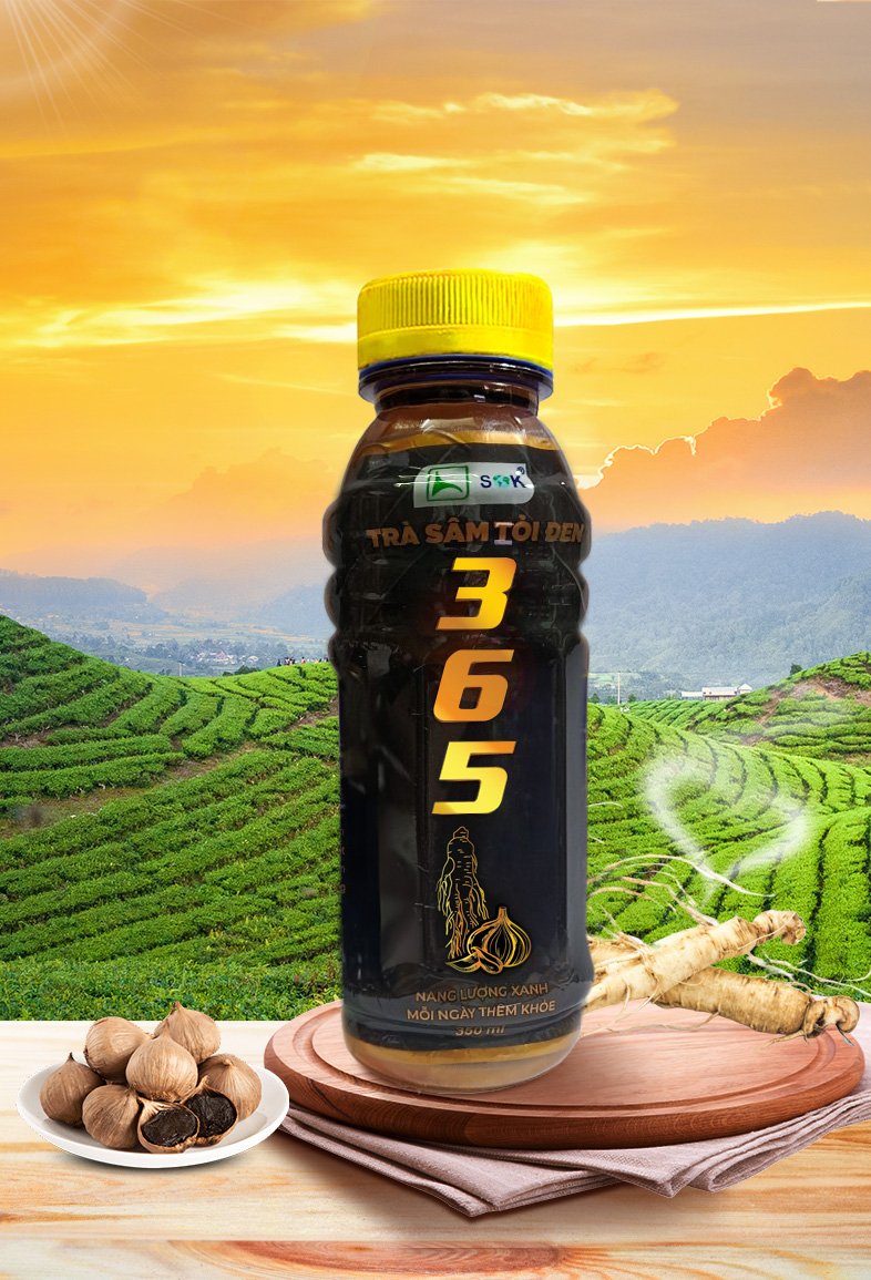 TRÀ SÂM TỎI ĐEN 365  (1 THÙNG 24 CHAI)